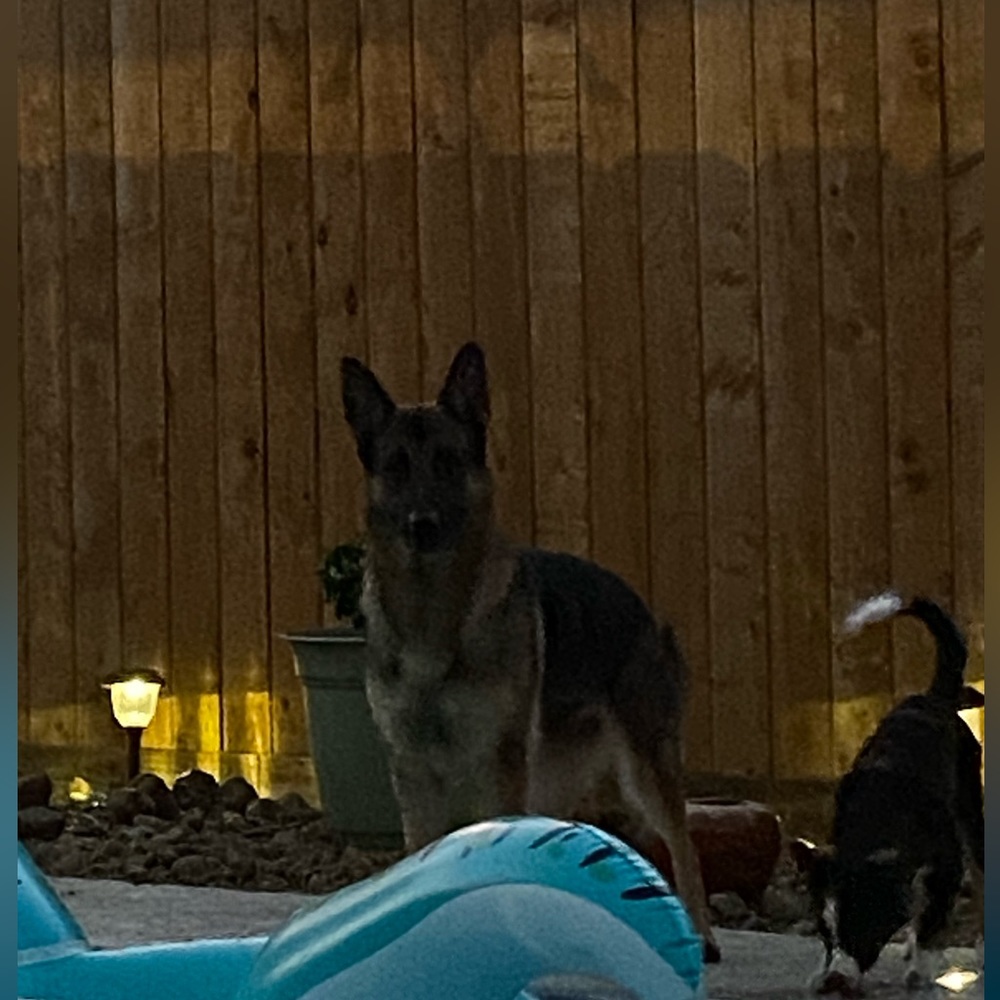 Meet your Posher, Reva